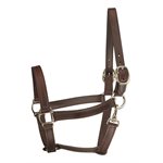 TRACK STYLE LEATHER TURNOUT HALTER W / SNAP