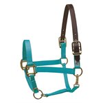 HORSE TURQUOISE SAFETY HALTER