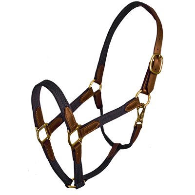 HORSE NAVY / BROWN BETA AND COTTON SAFETY HALTER