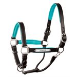 COB BLACK / TURQUOISE PADDED LEATHER HALTER W / PLATE