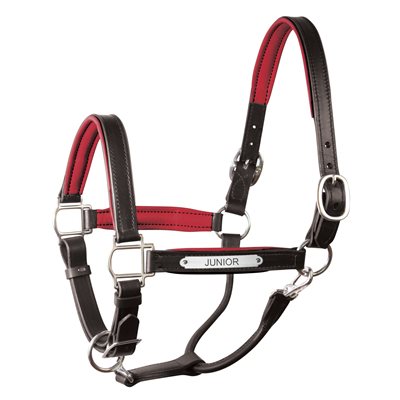 HORSE BLACK / RED PADDED LEATHER HALTER W / PLATE