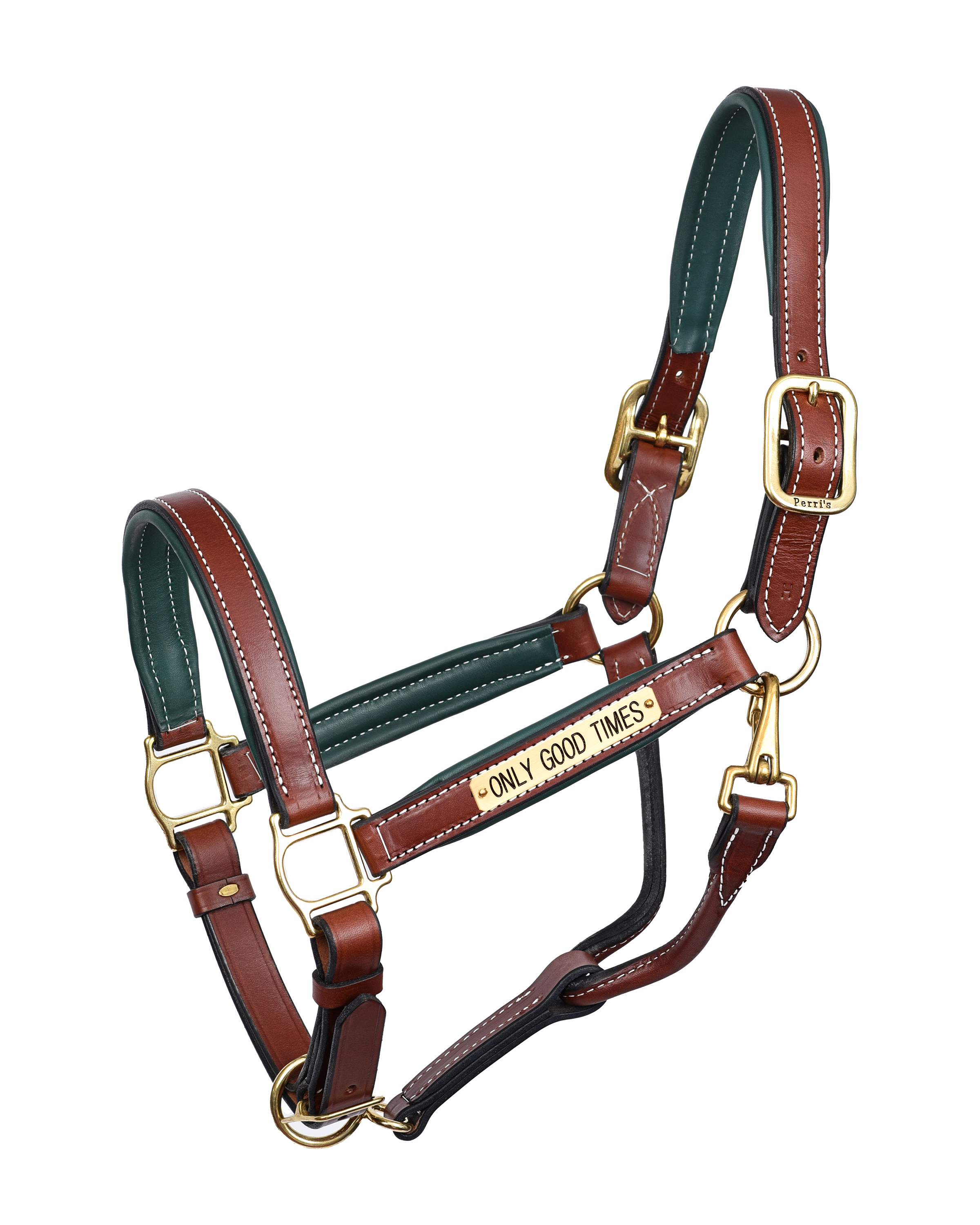 HRS CHEST / HUNTER PAD LEATHER HALTER W / PLATE