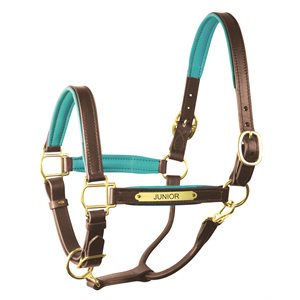 HORSE HAVANA / TURQUOISE PADDED LEATHER HALTER W / PLATE