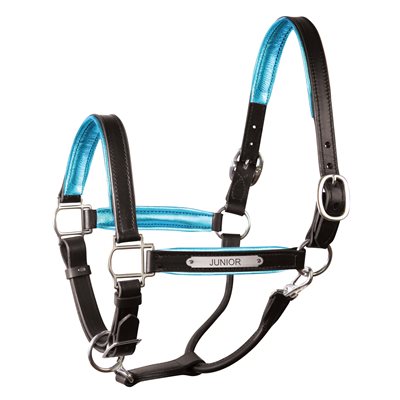 HORSE BLACK / TURQUOISE METALLIC PADDED LEATHER HALTER W / PLATE