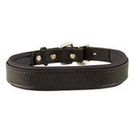 BLK / BLK LARGE PADDED LEATHER DOG COLLAR