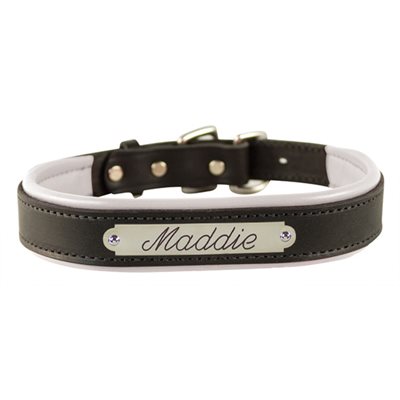 LARGE BLACK / WHITE PADDED LEATHER DOG COLLAR W / PLATE