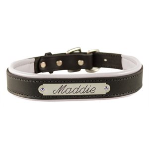 LARGE BLACK / WHITE PADDED LEATHER DOG COLLAR W / PLATE