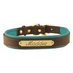 LARGE HAVANA / TURQUOISE PADDED LEATHER  DOG COLLAR W / PLATE