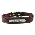 BLK / BURG MED PADDED LEATHER  DOG COLLAR W / PLATE