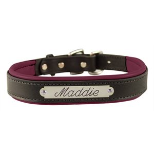 BLK / BURG SMALL PADDED LEATHER DOG COLLAR W / PLATE