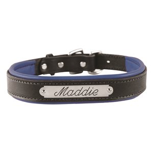 SMALL BLACK / BLUE PADDED LEATHER DOG COLLAR W / PLATE