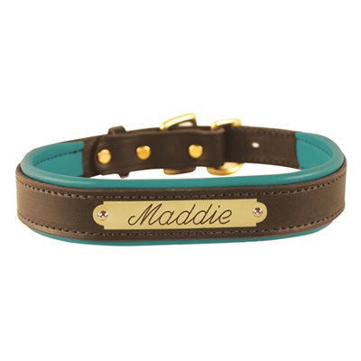 SMALL HAVANA / TURQUOISE PADDED LEATHER DOG COLLAR W / PLATE