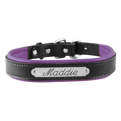 EXTRA LARGE BLACK / PURPLE PADDED LEATHER DOG COLLAR W / PLATE