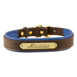 EXTRA LARGE HAVANA / BLUE PADDED LEATHER DOG COLLAR W / PLATE