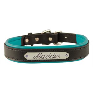 BLACK / TURQUOISE EXTRA SMALL PADDED LEATHER DOG COLLAR W / PLATE