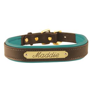 HAVANA / TURQUOISE EXTRA SMALL PADDED LEATHER DOG COLLAR W / PLATE