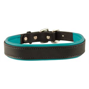 BLACK / TURQUOISE SMALL PADDED LEATHER DOG COLLAR