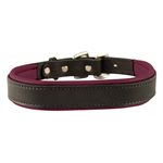 CLOSEOUT XS PADDED LEATHER DOG COLLAR