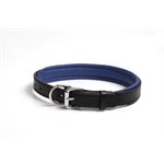 BLACK / BLUE EXTRA SMALL PADDED LEATHER DOG COLLAR 
