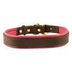 HAVANA / PINK EXTRA SMALL PADDED LEATHER DOG COLLAR