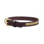 EXTRA SMALL HAVANA LEATHER DOG COLLAR W / PLATE