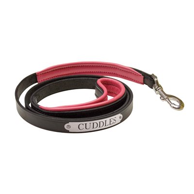 BLACK / PINK PADDED LEATHER DOG LEASH W / PLATE