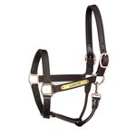 PREMIUM TRACK HALTER WITH SNAP HALTER W / PLATE