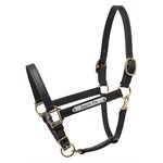 DELUXE TURNOUT HALTER W / PLATE