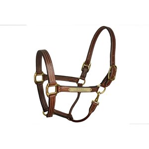 1" STABLE HALTER W / PLATE