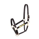 1" TURNOUT HALTER W / PLATE