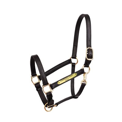 BLK O / S 1" TURNOUT HALTER W / PLATE