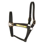 TRACK STYLE HALTER W / PLATE