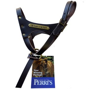 DOUBLE CROWN FOAL HALTER WITH PLATE