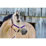 HORSE MULTI NEON SAFETY HALTER